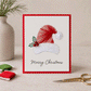 🔥🎁70% OFF!!🎅!-Ready for Christmas!🎄 🧵Merry & Bright Christmas DIY Kit– Create Beautiful Handmade Holiday Cards ✨