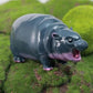 💖BLACK FRIDAY HOT SALE 49% OFF🎅Moo Deng Baby Pygmy Hippo Collectible🦛✨