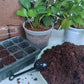 Spring Hot Sale 49% OFF✨ -  Premium Organic Coconut Coir Bricks for Plants