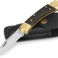 🔥Last Day Sale 49% OFF🔥Buck 110 Folding Hunter Lock-back Knife, Brass Bolsters, Ebony Handles, 3-3/4" 420HC Blade with Leather Sheath