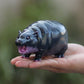 💖BLACK FRIDAY HOT SALE 49% OFF🎅Moo Deng Baby Pygmy Hippo Collectible🦛✨