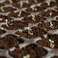 Spring Hot Sale 49% OFF✨ -  Premium Organic Coconut Coir Bricks for Plants