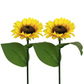🌻 LIMITED-TIME 50% OFF! Sunflower Solar Garden Lights, Auto On/Off Long Lasting IP65 Waterproof LED Stake Lights for Patio Yard Pathway Decoration ✨