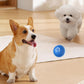 🔥Last Day Promotion- BUY 1 GET 1 FREE!!🐶Automatic Smart Teasing Dog Ball That Can't be Bitten