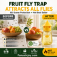 🕸️ 50% OFF! Hanging Fly Trap | Indoor & Outdoor Insect Trap | Easy-to-Hang Solution for Fruit Flies, Gnats & Flying Pests 🦟