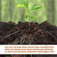 Spring Hot Sale 49% OFF✨ -  Premium Organic Coconut Coir Bricks for Plants
