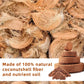 Spring Hot Sale 49% OFF✨ -  Premium Organic Coconut Coir Bricks for Plants