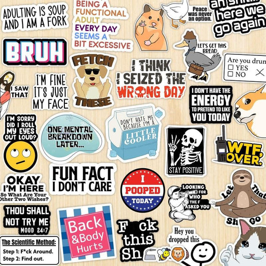 130PCS Funny Saying Sticker Pack🤣Snarky, Sarcastic Bold Humor Vinyl Waterproof Meme stickers for laptop