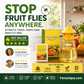 🕸️ 50% OFF! Hanging Fly Trap | Indoor & Outdoor Insect Trap | Easy-to-Hang Solution for Fruit Flies, Gnats & Flying Pests 🦟