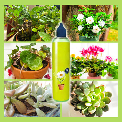 🌿【All-Purpose Indoor & Outdoor Plant Nutrient】—One bottle in hand, the world is yours!🌱🏡✨
