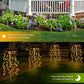 Solar Garden Lights Outdoor Decor
