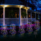Solar Garden Lights Outdoor Decor