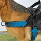 🔥LAST DAY SALE: ONLY ￡9.99!!🏆✨Heavy-Duty Tactical Dog Harness with Handle🐕