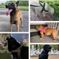 🔥LAST DAY SALE: ONLY ￡9.99!!🏆✨Heavy-Duty Tactical Dog Harness with Handle🐕