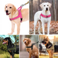 🔥LAST DAY SALE: ONLY ￡9.99!!🏆✨Heavy-Duty Tactical Dog Harness with Handle🐕