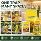 🕸️ 50% OFF! Hanging Fly Trap | Indoor & Outdoor Insect Trap | Easy-to-Hang Solution for Fruit Flies, Gnats & Flying Pests 🦟