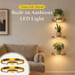🔥LAST DAY SALE 50% OFF🔥Floating Wall Shelf with Ambient LED Lighting