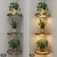 ✨ 50% OFF! 💡 Floating Wall Shelf with Built-In Ambient LED Light – Space-Saving Display Shelf | Modern Wall-Mounted Storage for Bedroom, Living Room & Home Decor