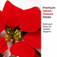 ✨ Bring Christmas Home Early 🎄 50% OFF Light-Up Poinsettia Garland – Warm Glow Anywhere, No Plug Needed!