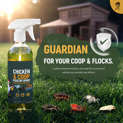 ⏳LAST DAY SALE 50% OFF! 🔥 Natural Poultry Coop Cleaning Spray 🐔 Helps Remove Dirt, Grime & Odours | Easy to Use & Perfect for Chicken Coops 🧼