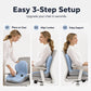 🔥 50% OFF! 🪑 Ergonomic Memory Foam Seat Cushion with Back Support | Pressure-Relieving Comfort for Office, Car & Home | Supportive Cushion for Long Sitting ✨