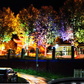 🌳✨ 50% OFF! Ring-Shaped Solar Tree Lights | Weatherproof Outdoor Garden Lights | Perfect for Trees, Pillars & Pathways 💡