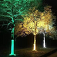 🌳✨ 50% OFF! Ring-Shaped Solar Tree Lights | Weatherproof Outdoor Garden Lights | Perfect for Trees, Pillars & Pathways 💡