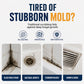 🔥 50% OFF! 🧼 Chicssleek® Multi-Purpose Mould & Mildew Stain Remover | Powerful Stain Cleaner for Bathrooms, Tiles, Grout & Walls ✨
