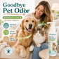 🔥 50% OFF + BUY 2 GET 1 FREE 🐾 Rinse-Free Pet Shampoo Mousse – No Water, No Mess, Fresh Fur in Minutes