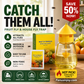 🕸️ 50% OFF! Hanging Fly Trap | Indoor & Outdoor Insect Trap | Easy-to-Hang Solution for Fruit Flies, Gnats & Flying Pests 🦟